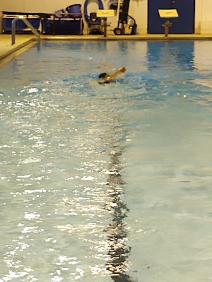 Hugh Smith Indoor Pool — Arlington, Texas (2)