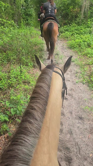 In the Breeze Ranch — Tampa, Florida (3)