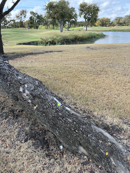 Indian Creek Golf Club — Carrollton, Texas (2)