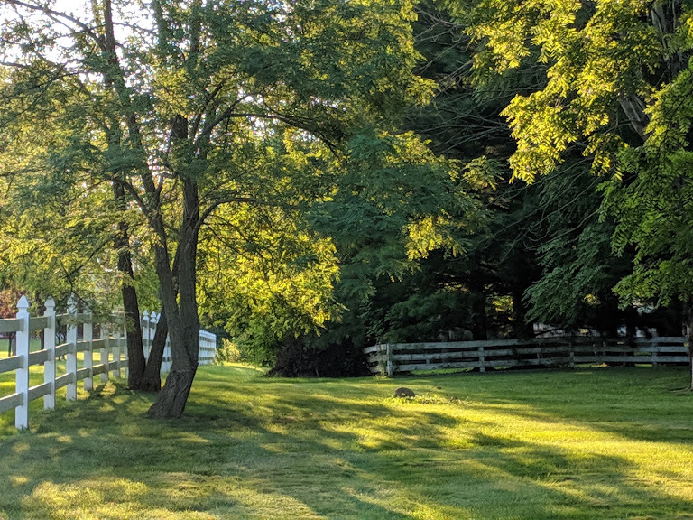 Indian Lake Country Club — Indianapolis, Indiana (2)