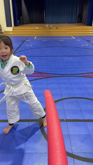 Infinity Martial Arts — Washington, District of Columbia (3)