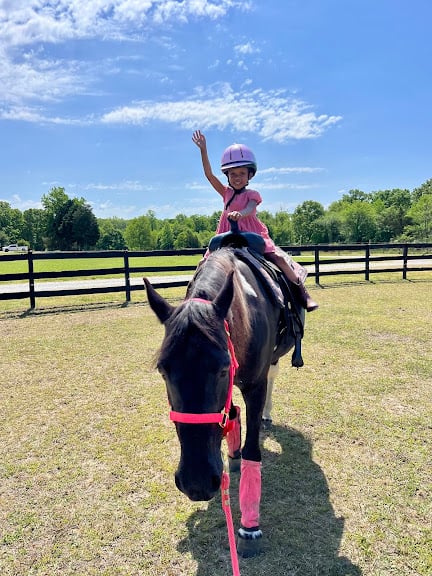Iron Gait Horse Farm — Chester, Virginia (3)