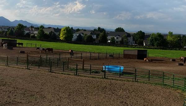 Iron Gait Ranch — Arvada, Colorado (2)