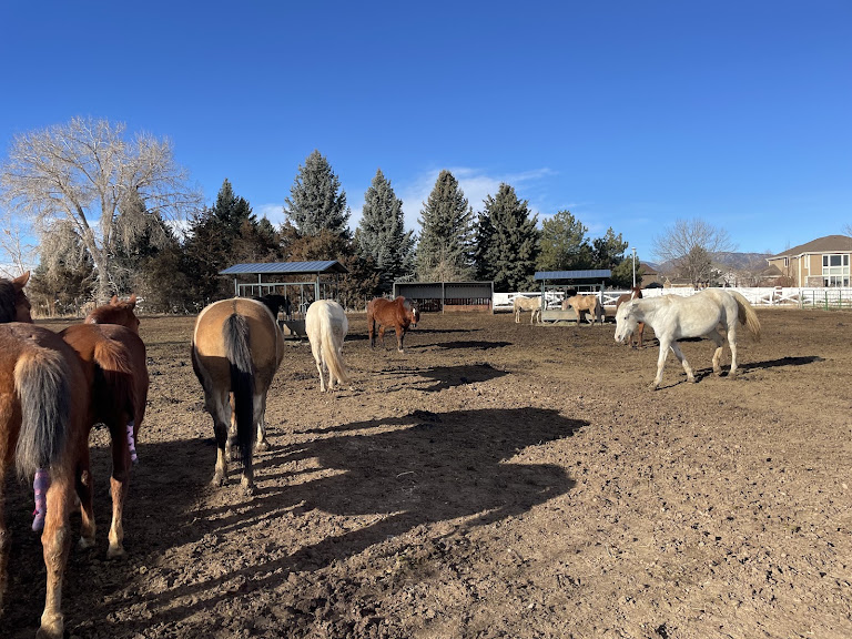 Iron Gait Ranch