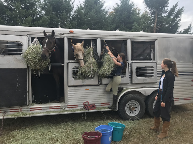 Iron Horse Riding Academy