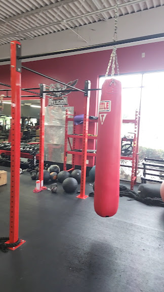 IRON RELIGION GYM — Orlando, Florida (3)