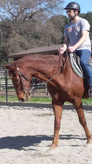 Isola Stables at Glenoaks Equestrian Center — Portola Valley, California (3)