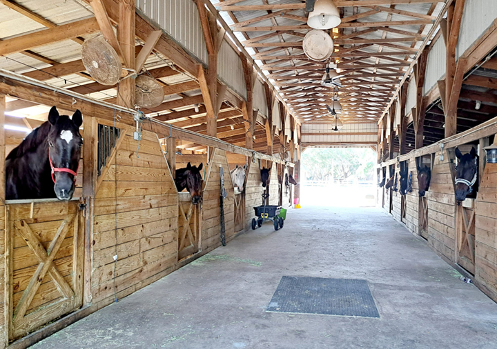 Ivan Drago Equestrian Center — Riverview, Florida (2)