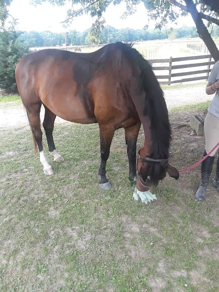 James River Equestrian Center