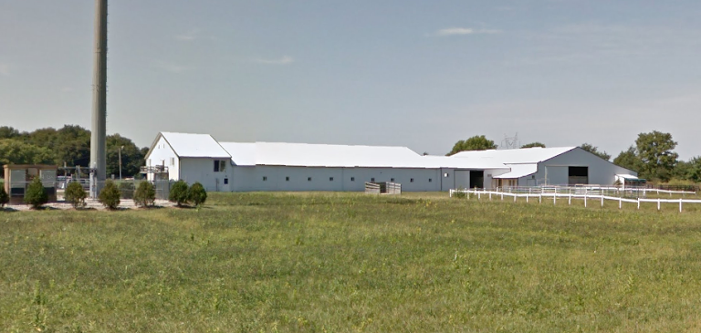 Janet Keesling Stable