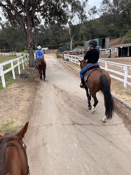 Jigsaw Farms