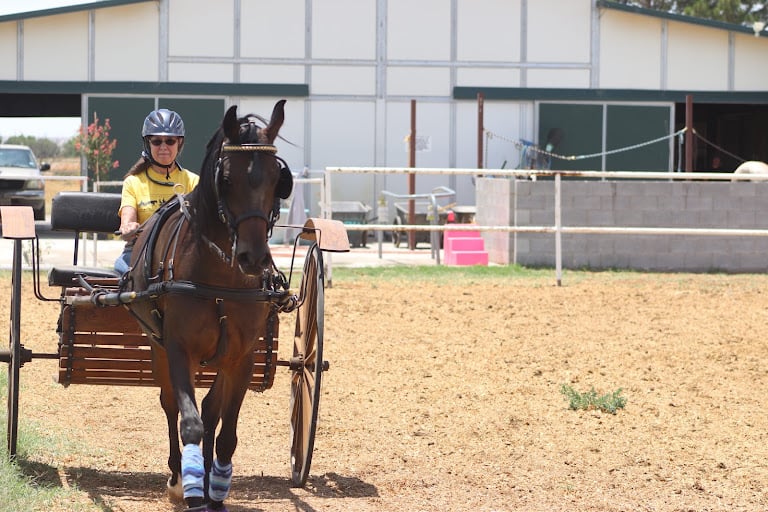 Joyner Arabians — Equestrian venue in El Paso, Texas