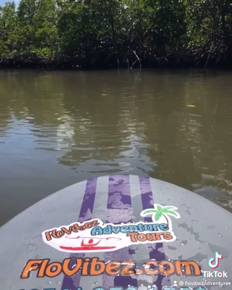 Kayaking Hillsborough River State Park — Thonotosassa, Florida (2)