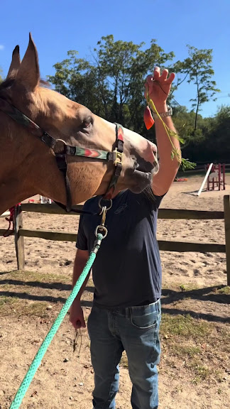 Kentucky Riding Stables — Harrison, New York (3)