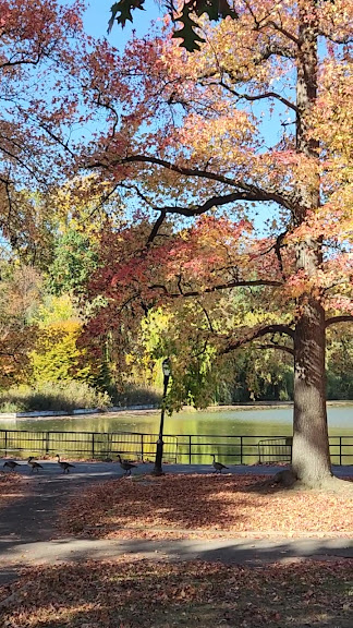 Kissena Park Tennis Courts — Flushing, New York (3)
