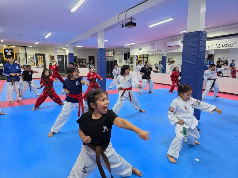 Korea Taekwondo-KTKD Corona
