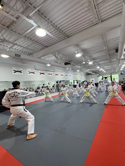 Korea Taekwondo – KTKD Dublin