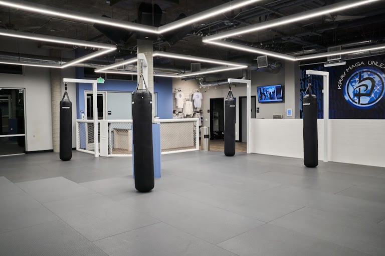 Krav Maga Unleashed — Pasadena, California (2)