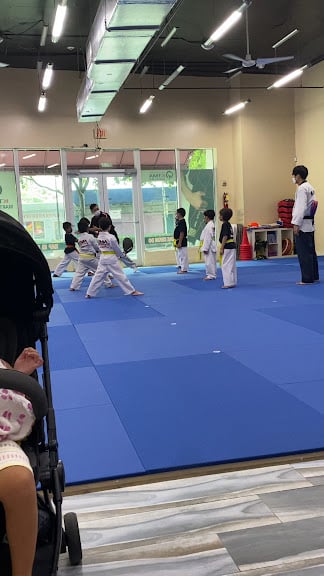 KTMA Taekwondo Martial Arts — Miami, Florida (3)