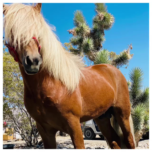 Kyle Canyon Ranch — Las Vegas, Nevada (2)