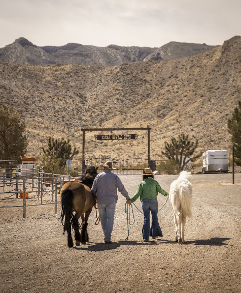 Kyle Canyon Ranch — Equestrian venue in Nevada