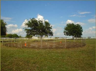 Lake Trail Stables — Crowley, Texas (2)