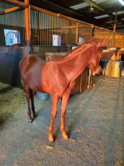 Lake Trail Stables — Sports Club in Crowley, Texas