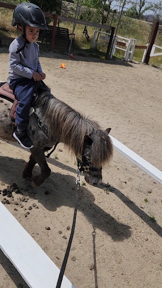 Lakewood Equestrian Center — Lakewood, California (3)