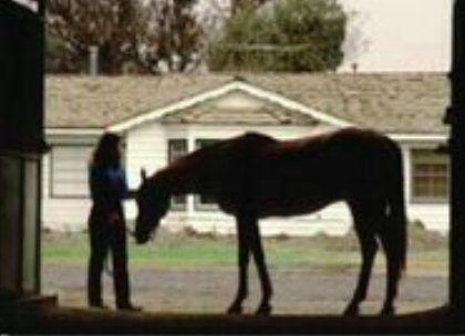 Lakewood Equestrian Center