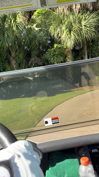 LaPlaya Golf Club — Naples, Florida (3)