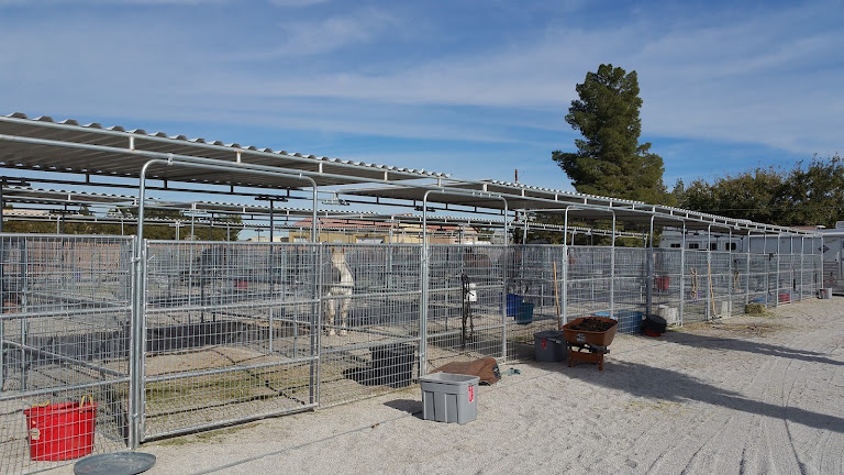 Las Vegas Horse Ranch at Haven — Las Vegas, Nevada (2)