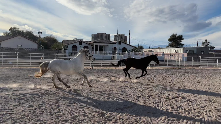 Las Vegas Horse Ranch at Haven — Las Vegas, Nevada (3)