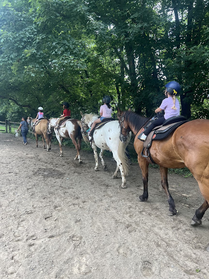 Legacy Riding Stables — Parlin, New Jersey (3)