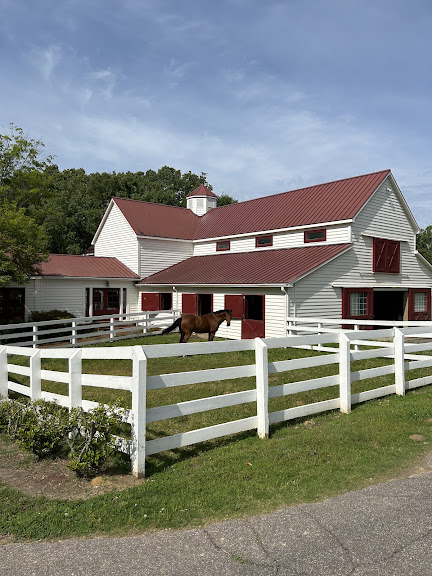 Let It Fly Stables LLC
