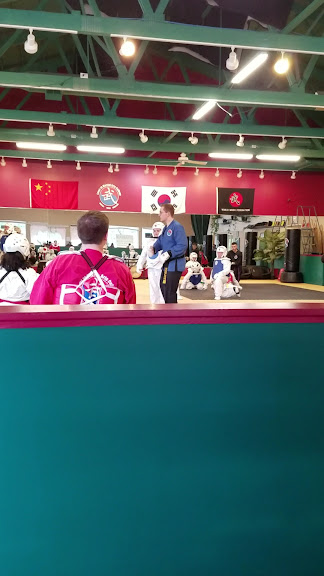 Level 10 Martial Arts College — Indianapolis, Indiana (3)
