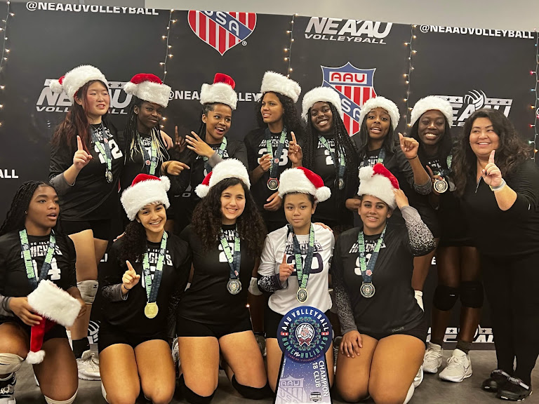 LI Knights VBC (likvbc)