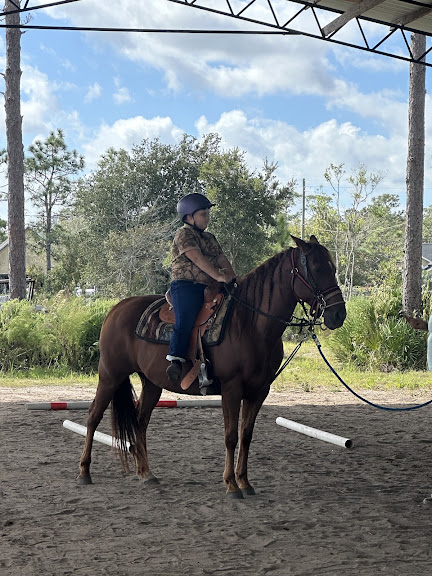 LJ’s Horse Lessons — Equestrian venue in Orlando, Florida