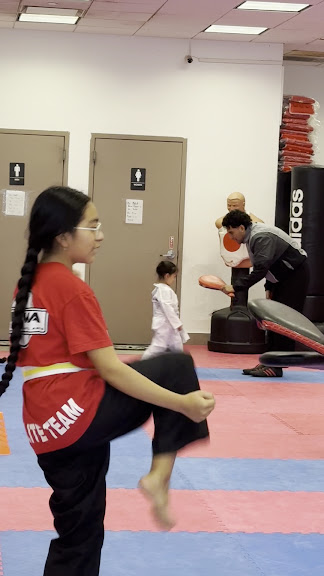 Locust Valley Martial Arts Brooklyn — Brooklyn, New York (3)