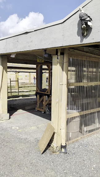 Long Island Shooting Range of Brookhaven — Ridge, New York (3)