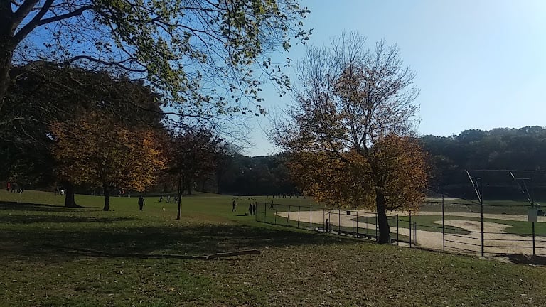 Long Meadow Ballfields — Brooklyn, New York (3)