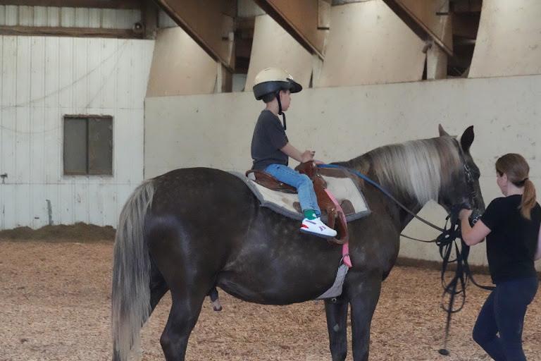 Longview Stables