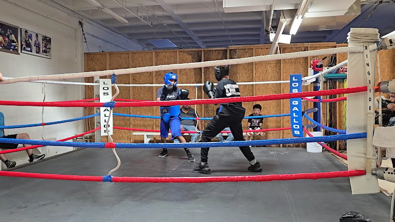 Los Gallos Boxing Club — Gym venue in Dallas, Texas