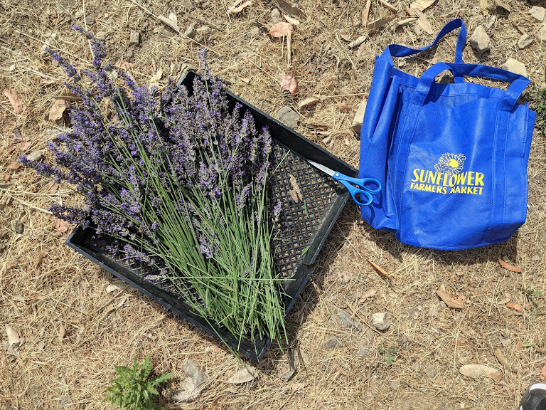 Los Gatos Farms