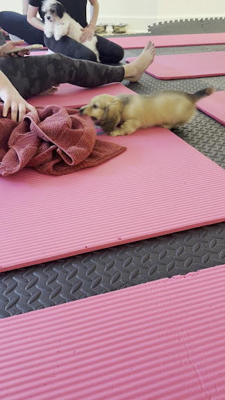 Lūneh Yoga — Washington, District of Columbia (3)