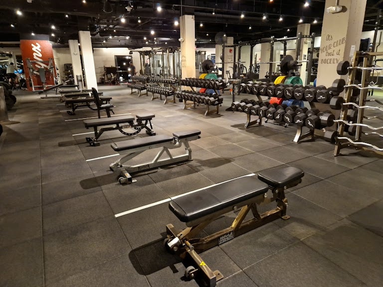 Lynx Fitness Club