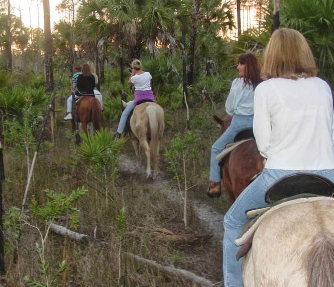 M & H Stables ( Horse boarding only ) — Naples, Florida (2)
