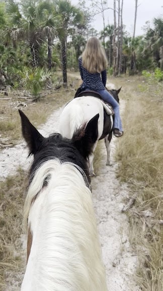 M & H Stables ( Horse boarding only ) — Naples, Florida (3)