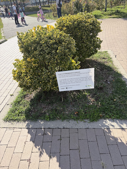 Marine Park — Brooklyn, New York (2)
