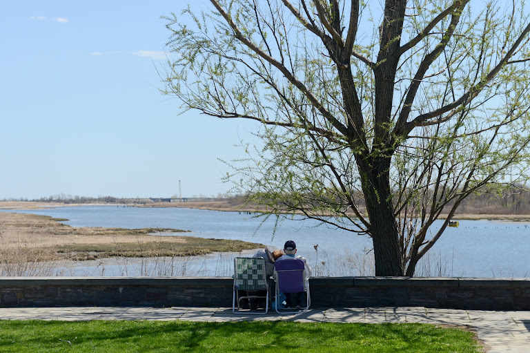 Marine Park — Cricket venue in Brooklyn, New York