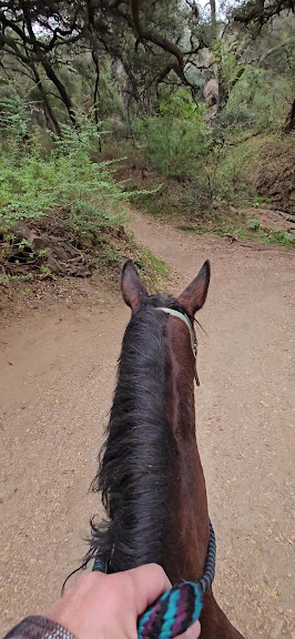 Marshall Canyon Equestrian Center — La Verne, California (3)
